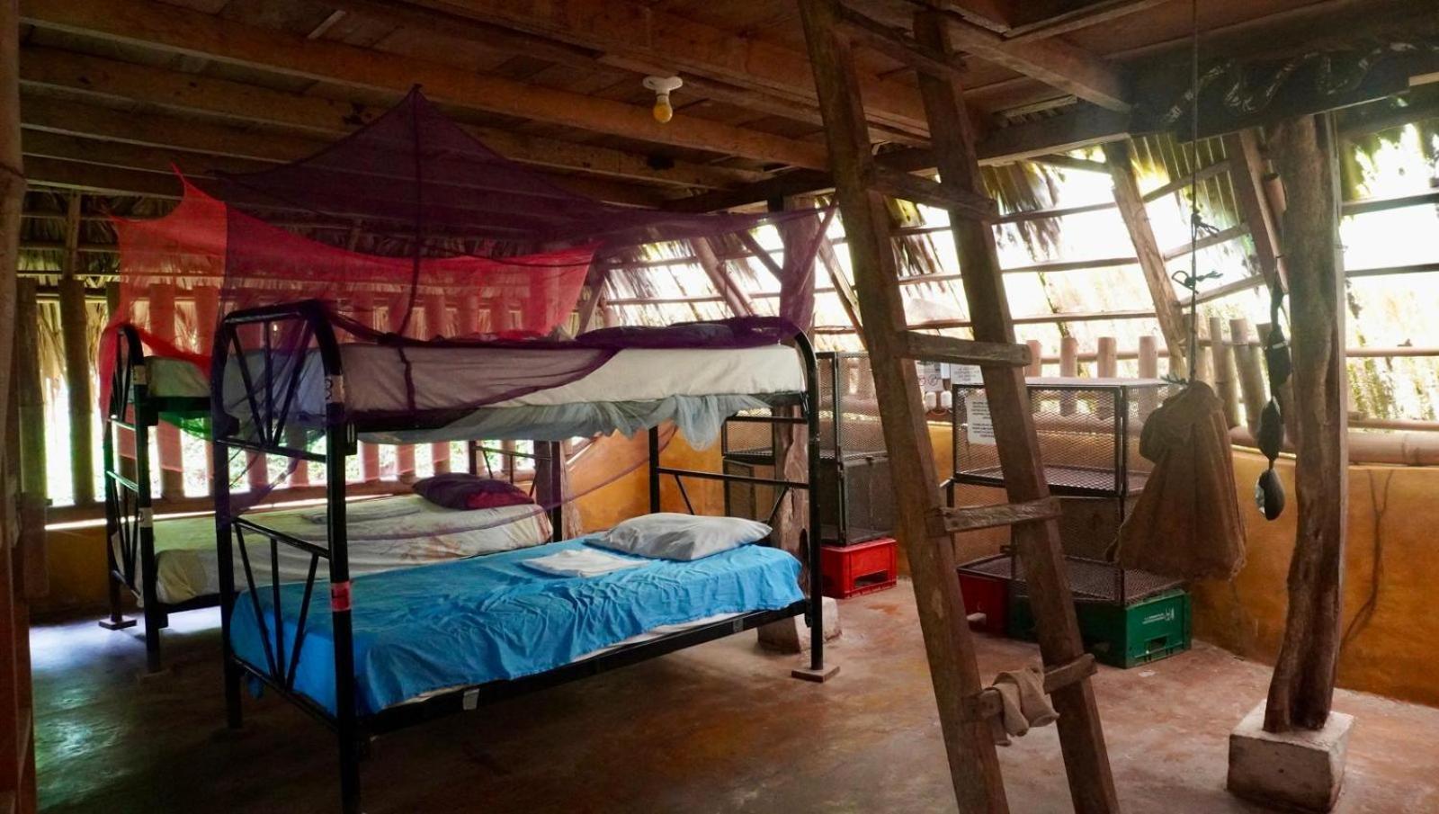 Albergue El Zopilote Balgue Habitación foto