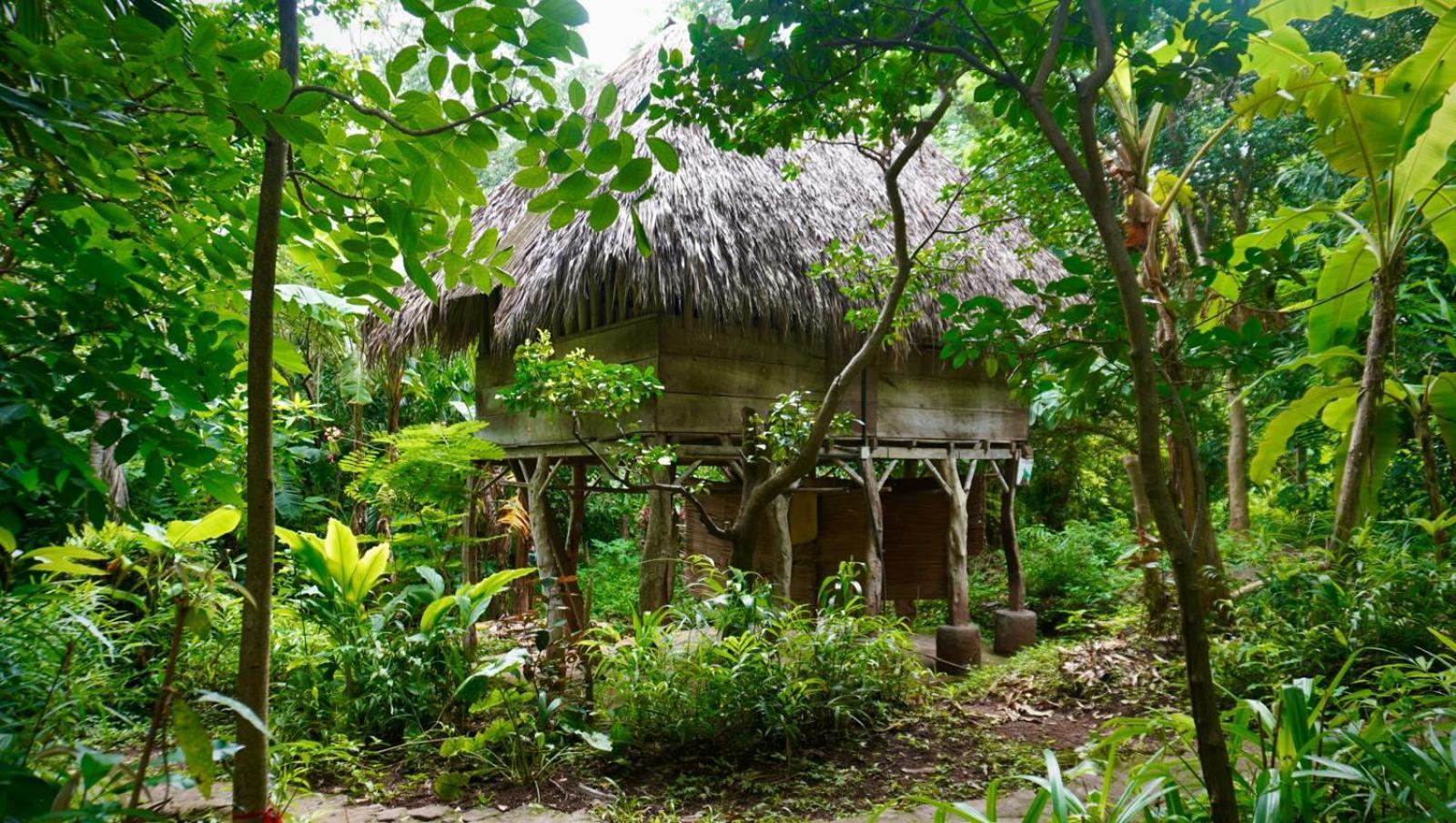 Albergue El Zopilote Balgue Habitación foto